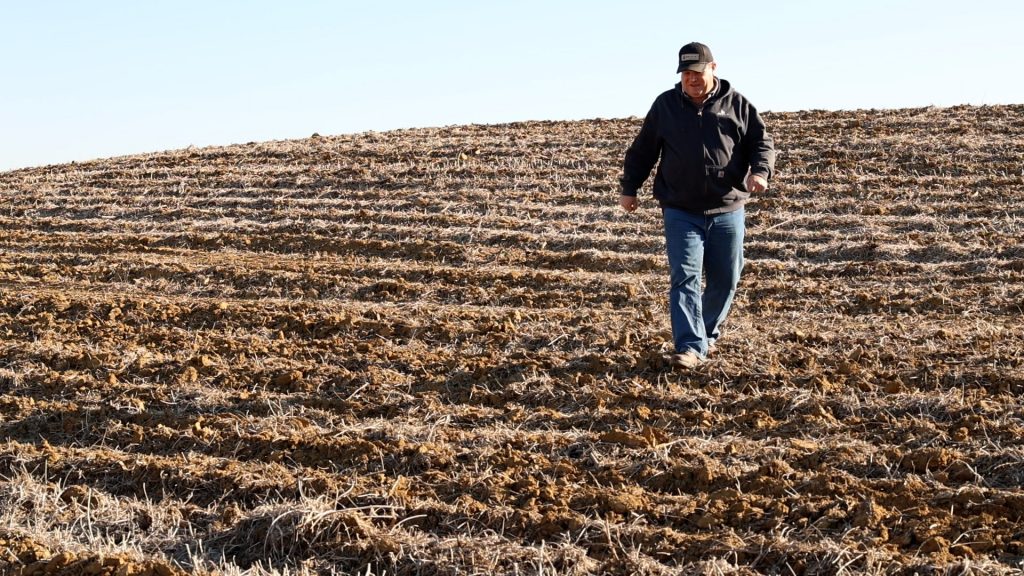 Farmer Steve Turner, with black cap and jacket, walks down hill with extensive crop residue.