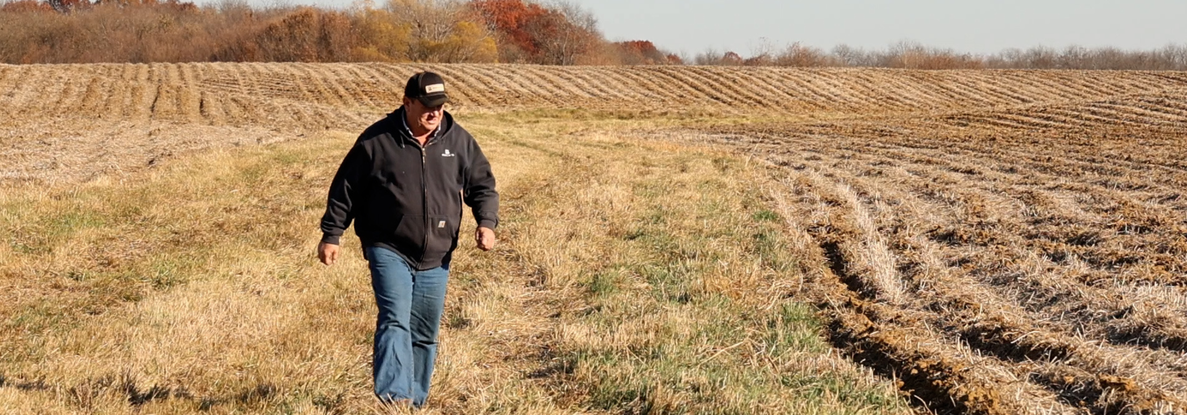For Bell-Turner Family Farms, diversification is key