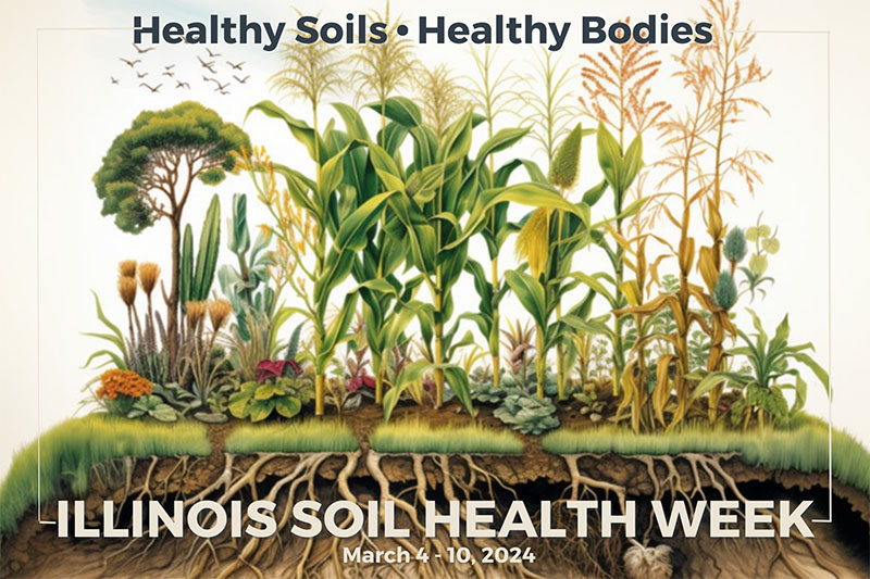 AI generated graphic with plants growing above, roots below for Illinois Soil Health Week 2023 March 4-10 at The Illinois State Capitol.